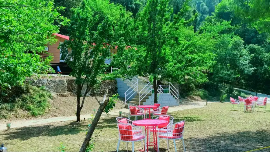 The Lawn